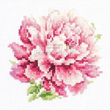 Набор для вышивания крестом Пион, 11x11, Чудесная игла