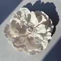 Пион из фарфора, Flora
