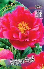 Пион Корал Фэй (упаковка 1шт) 3198