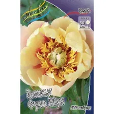 Саженец ОКС Пион ИТО-гибрид Itoh Viking Full Moon, 2/3 n (1 шт.)