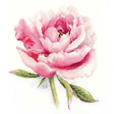 Набор для вышивания крестом Нежный пион, 22x24, Алиса