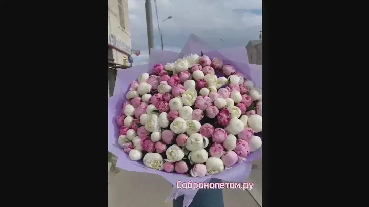 Самые лучшие пионы в Москве: Собранолетом.ру🔥 прямая связь: +79205083939