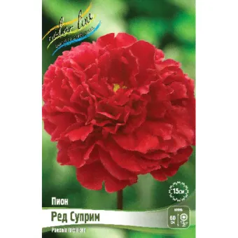 Пион молочноцветковый Red Supreme, 2/3 n (1 шт.)