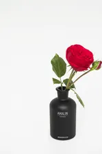 Аромат PEONY & BLUSH SUEDE (ПИОН И ЗАМША)/AMALIN/250 ML