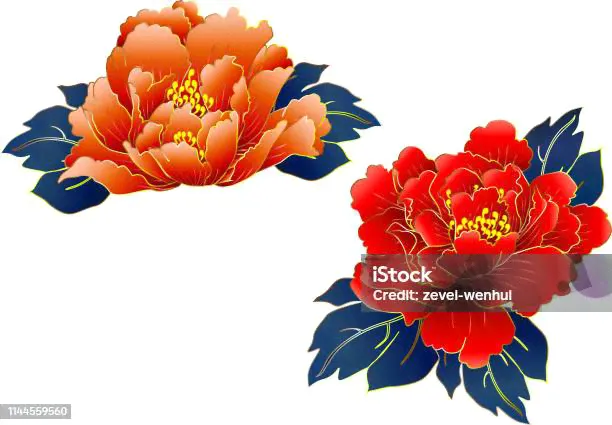 Иллюстрация Цветка Peony — стоковая векторная графика и другие изображения на тему Пион - Пион, Пион молочноцветковый, Векторная графика-0