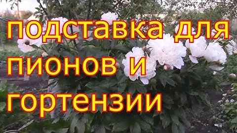 подставка для пионов и гортензии