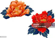 Иллюстрация Цветка Peony — стоковая векторная графика и другие изображения на тему Пион - Пион, Пион молочноцветковый, Векторная графика