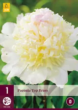 Пион 1 PAEONIA TOP BRASS размер 2/3
