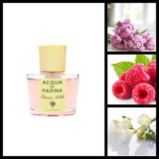 Духи Благородный Пион в стиле Acqua di Parma — Peonia Nobile w